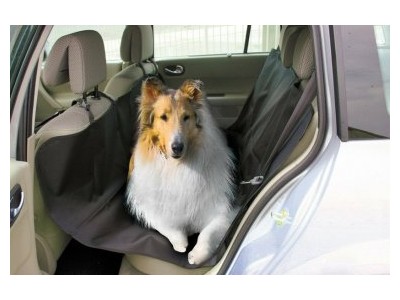 Schutzhülle auf dem Rücksitz für den Hund
