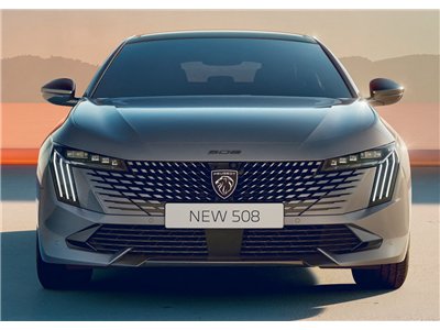 Vinterafdækning til frontkofanger Peugeot 508 (R8)